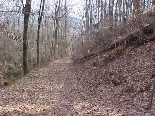 328 McDaniel Road Bean Station, TN 37708 - Photo 4 of 8 Additional Photo