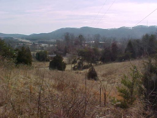 328 McDaniel Road Bean Station, TN 37708 - Photo 5 of 8 Additional Photo