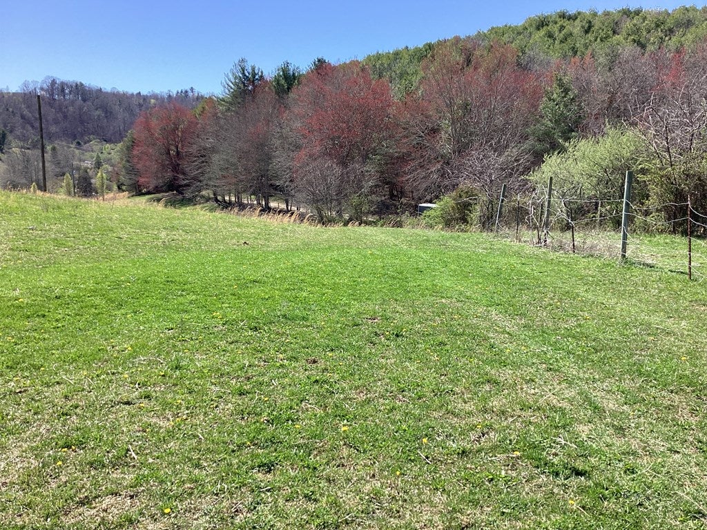 774 Liberty Hill Road Fries, VA 24330 - Photo 24 of 73 Gallery Image 24