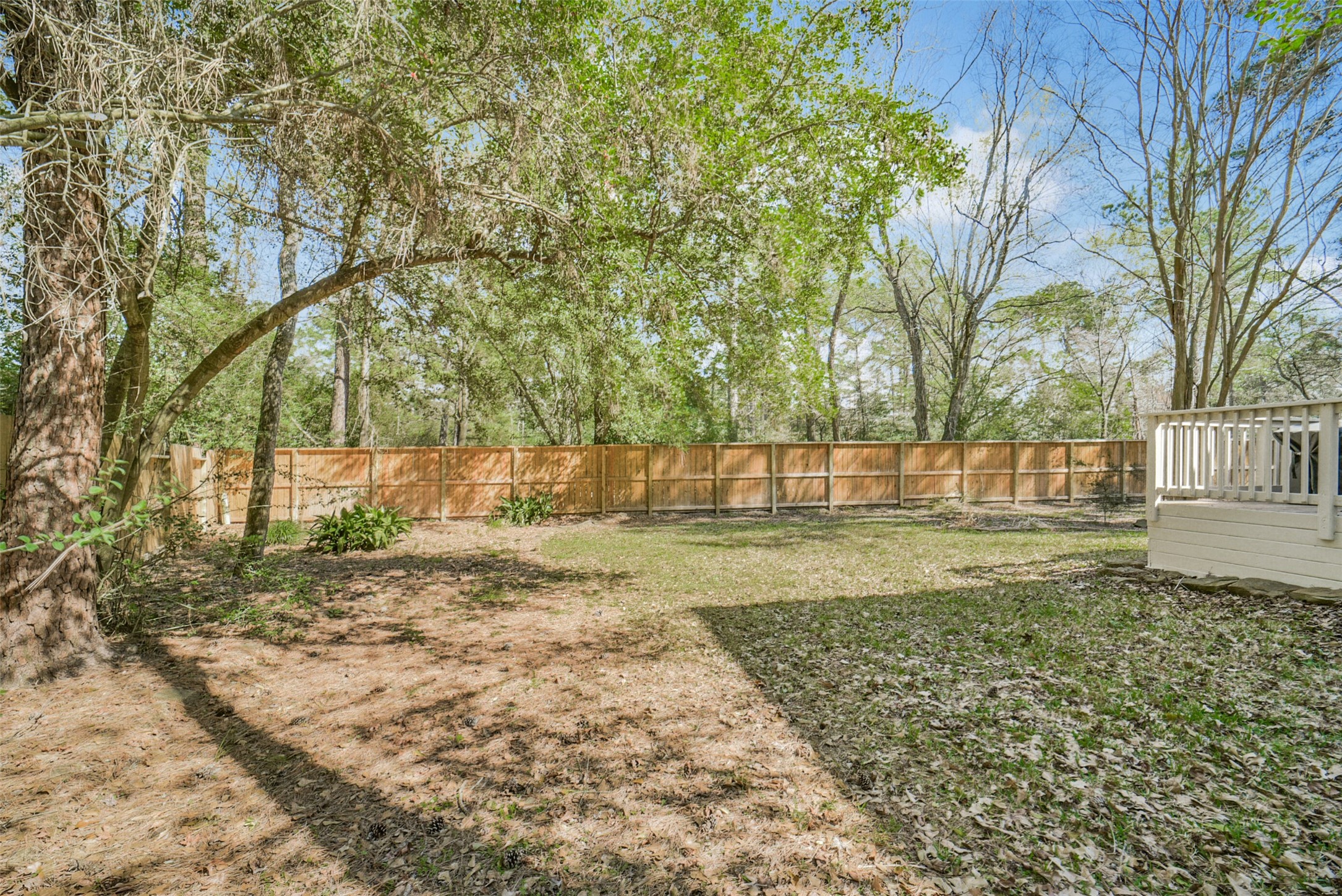 38 Tallow Hill Place Spring, TX 77382 - Photo 43 of 50 a view of yard with tree