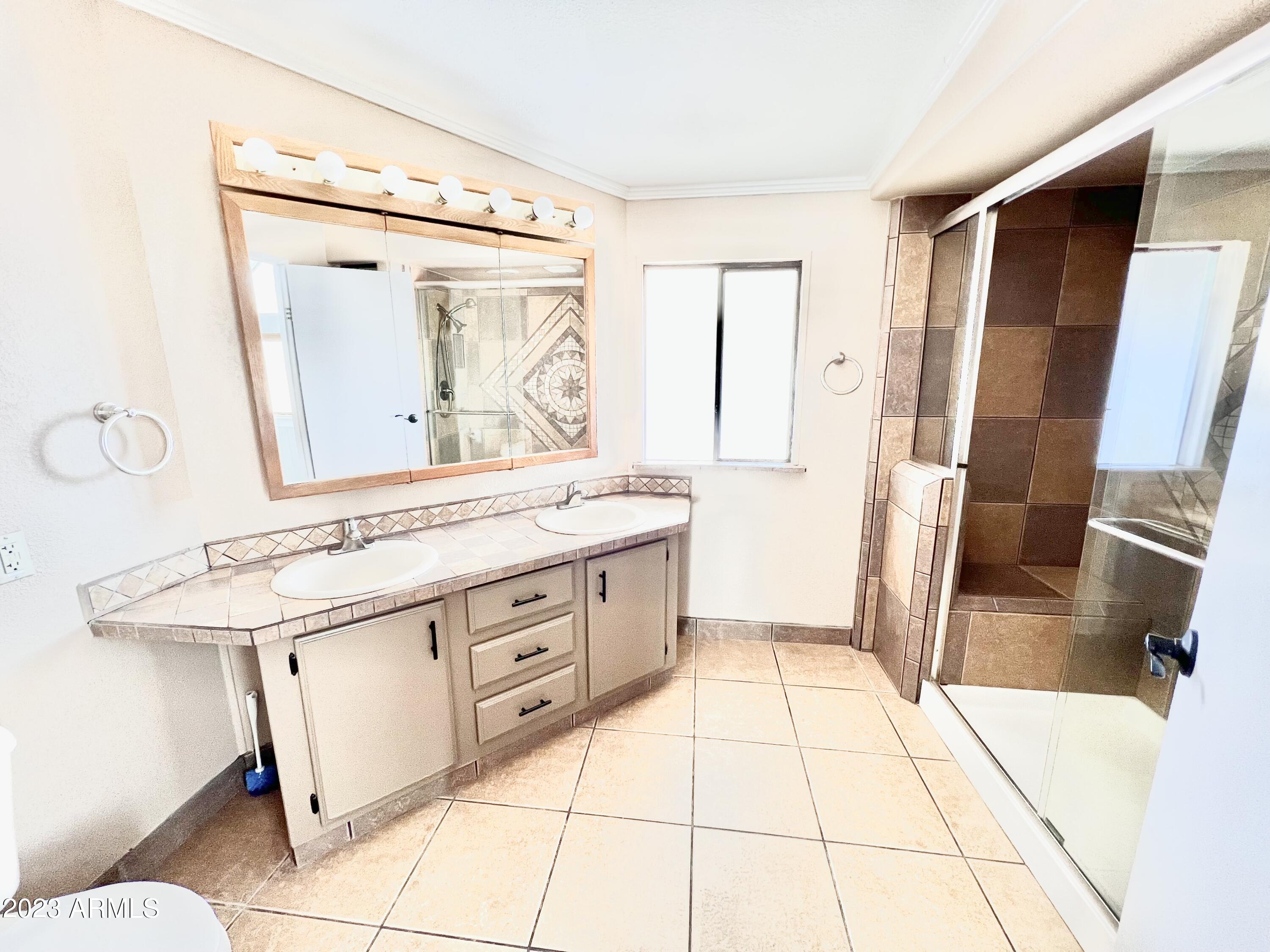 652 South Ellsworth Road, Unit 201 Mesa, AZ 85208 - Photo 13 of 33 201PRIMARYFULLBATHPIC