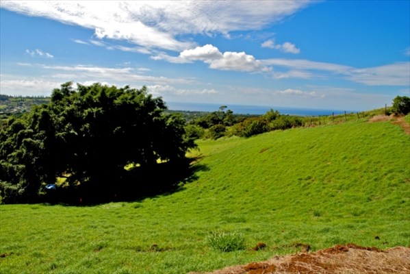 4981 Lot Road, Unit D Kalaheo, HI 96741 - Photo 1 of 18 a big yard with lots of green space and a houses