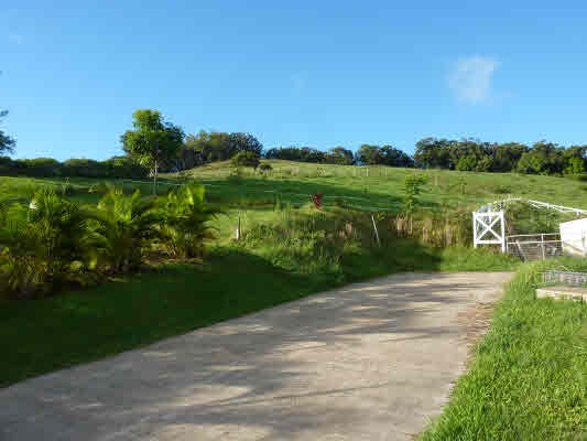 4981 Lot Road, Unit D Kalaheo, HI 96741 - Photo 12 of 18 a view of a lake with a big yard