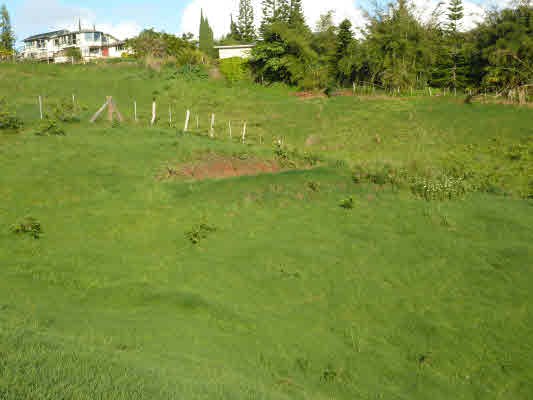 4981 Lot Road, Unit D Kalaheo, HI 96741 - Photo 15 of 18 a view of an outdoor space and yard