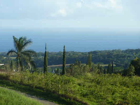 4981 Lot Road, Unit D Kalaheo, HI 96741 - Photo 18 of 18 a view of a garden