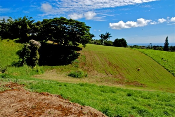4981 Lot Road, Unit D Kalaheo, HI 96741 - Photo 5 of 18 a view of a garden
