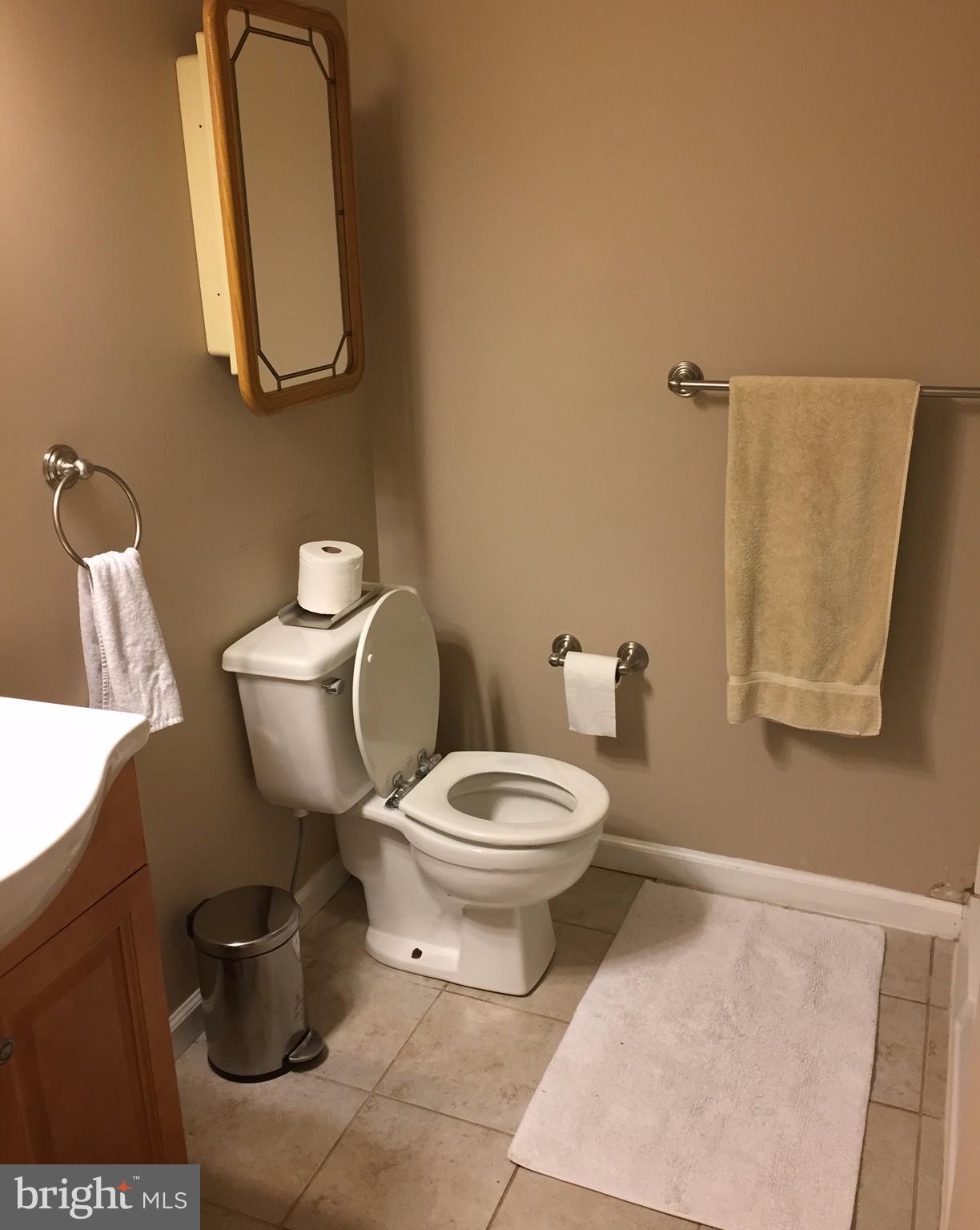 23604 Rolling Fork Way Gaithersburg, MD 20882 - Photo 24 of 27 Basement Full Bath