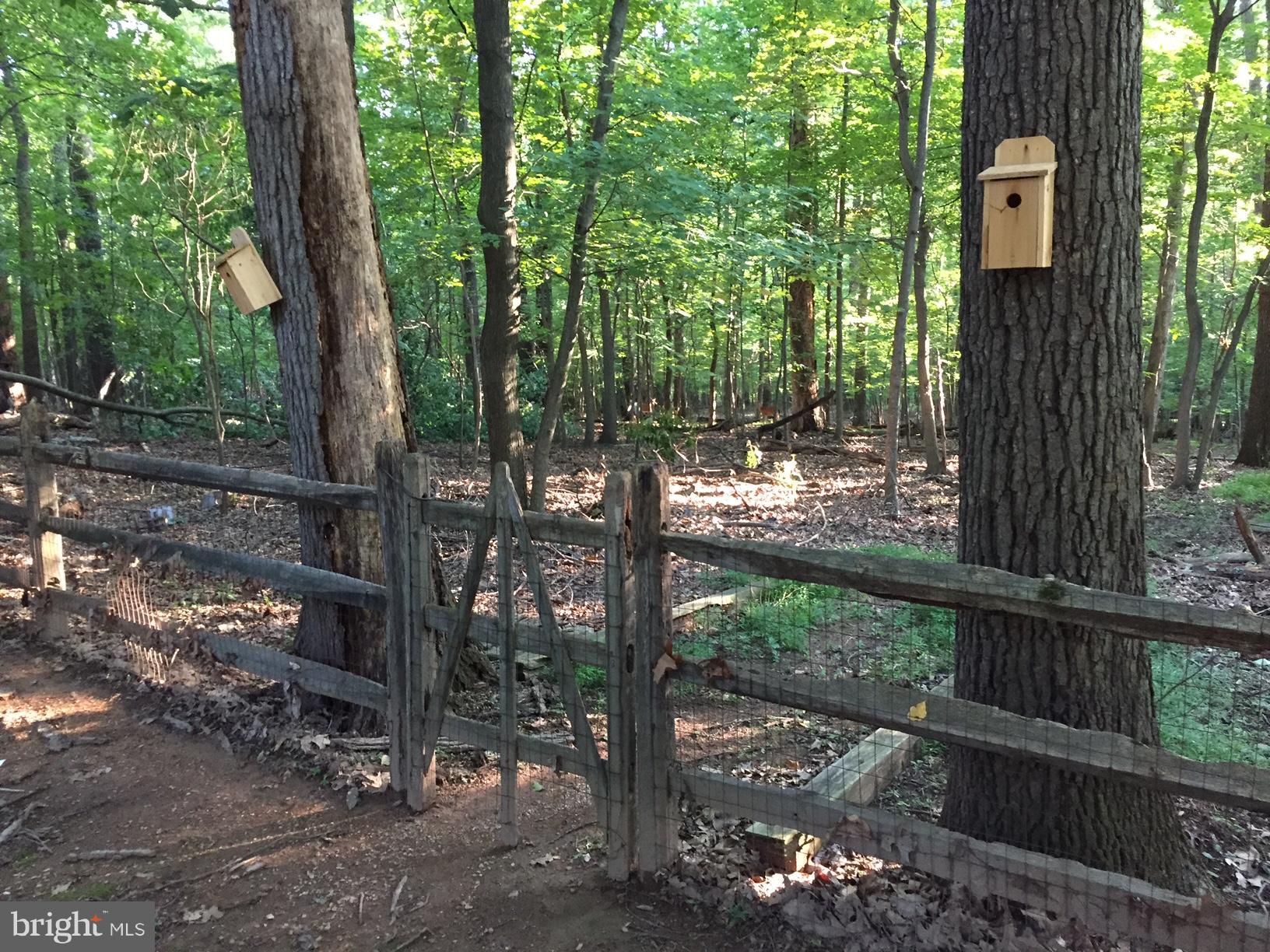 23604 Rolling Fork Way Gaithersburg, MD 20882 - Photo 7 of 27 Back Yard ends in nature area to take long walks