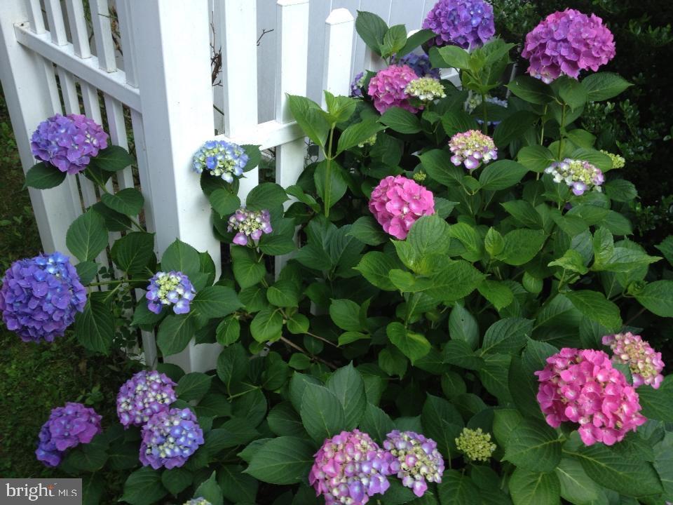 313 Adahi Road Southeast Vienna, VA 22180 - Photo 82 of 82 Gallery Image 82
