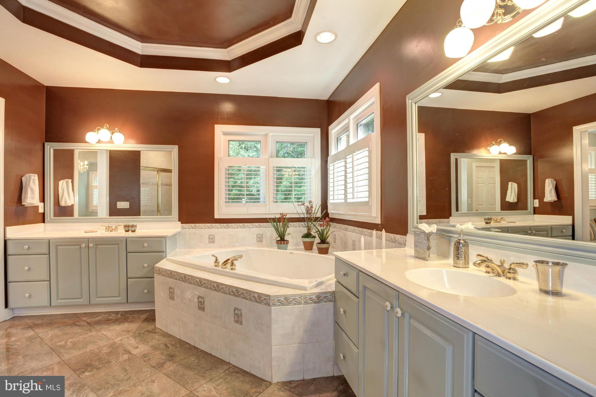 5617 Griffith Farm Road Rockville, MD 20855 - Photo 18 of 30 Bath (Master)