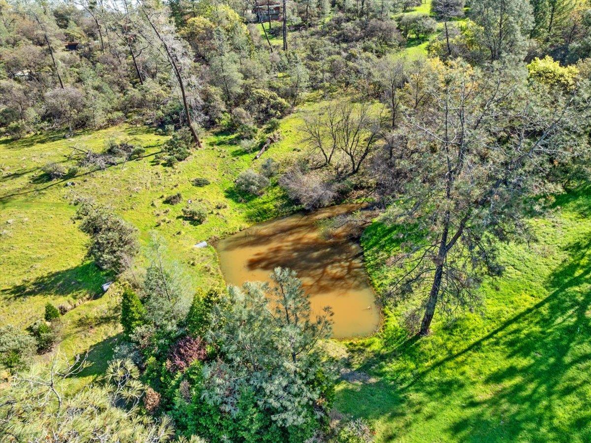 16035 Running Springs Road Grass Valley, CA 95949 - Photo 77 of 94 a view of a yard with a tree