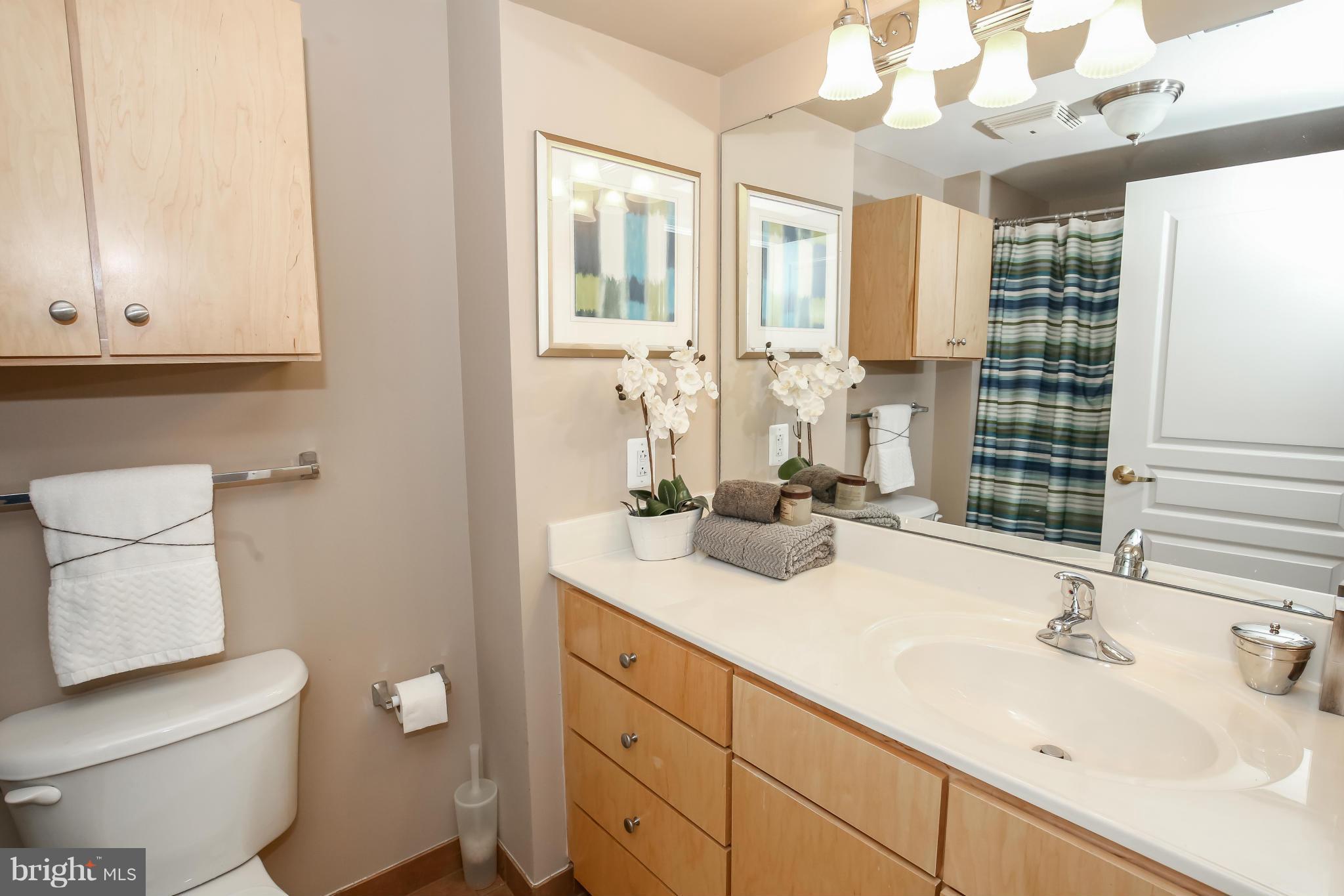 616 E Street Northwest, Unit 855 Washington, DC 20004 - Photo 10 of 19 Bath