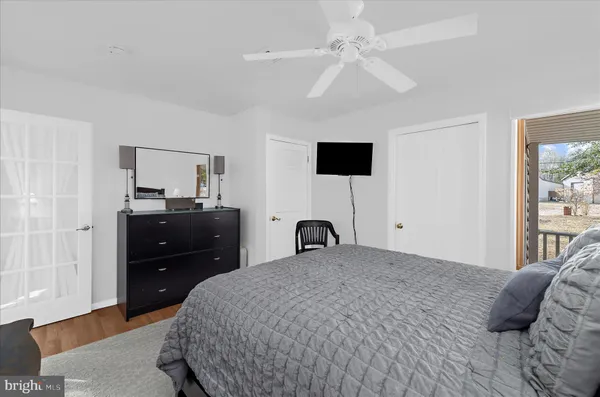 a view of a lake in middle of forest