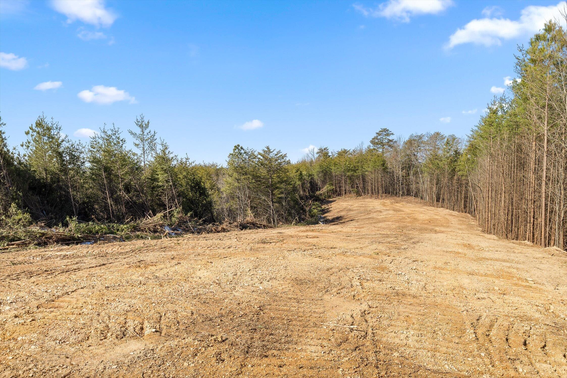92-4 Old Sawmill Road Chatsworth, GA 30705 - Photo 12 of 30 12-Tract 4-6