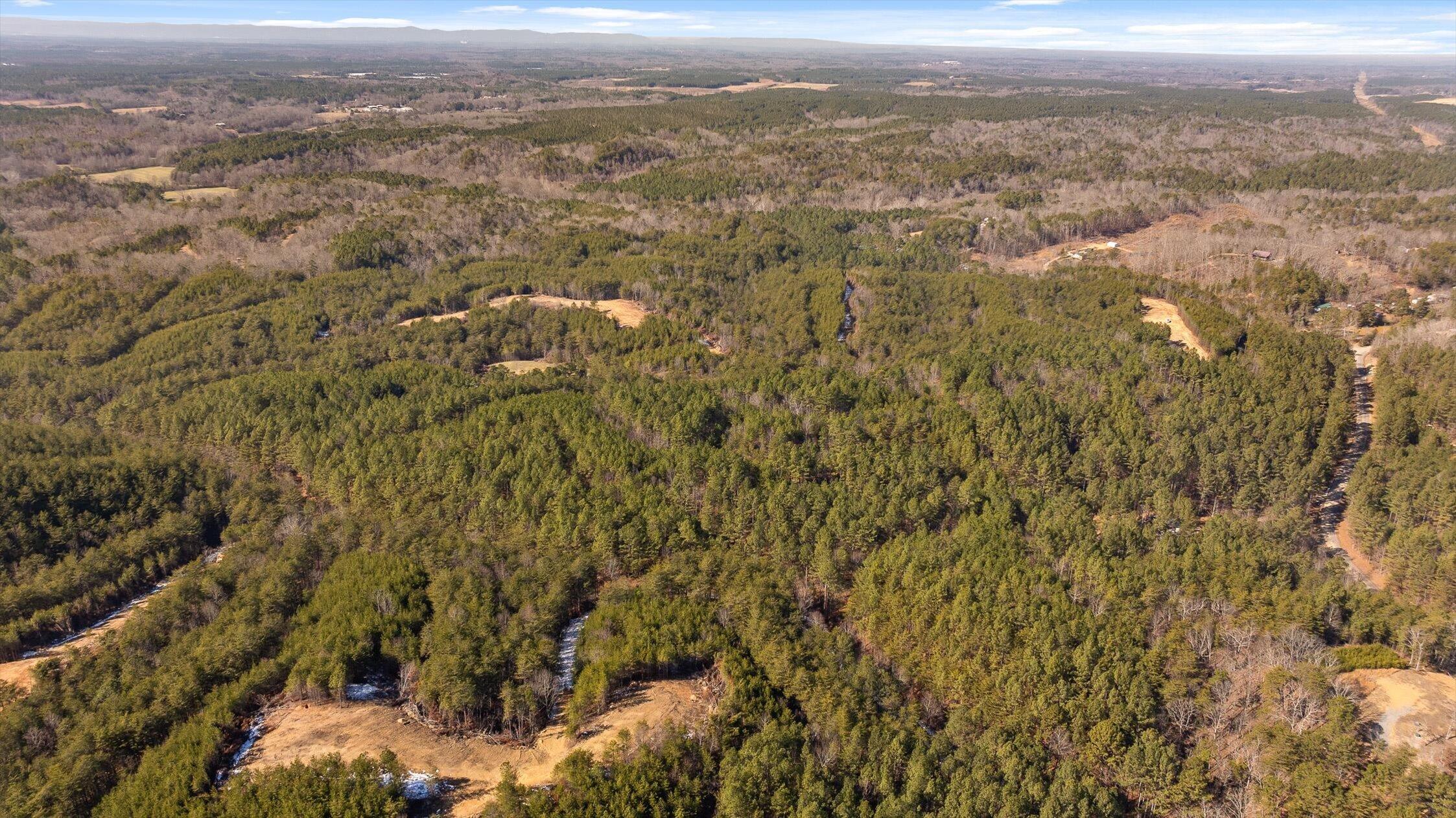 92-4 Old Sawmill Road Chatsworth, GA 30705 - Photo 14 of 30 02-Tract 4 - Overall-2