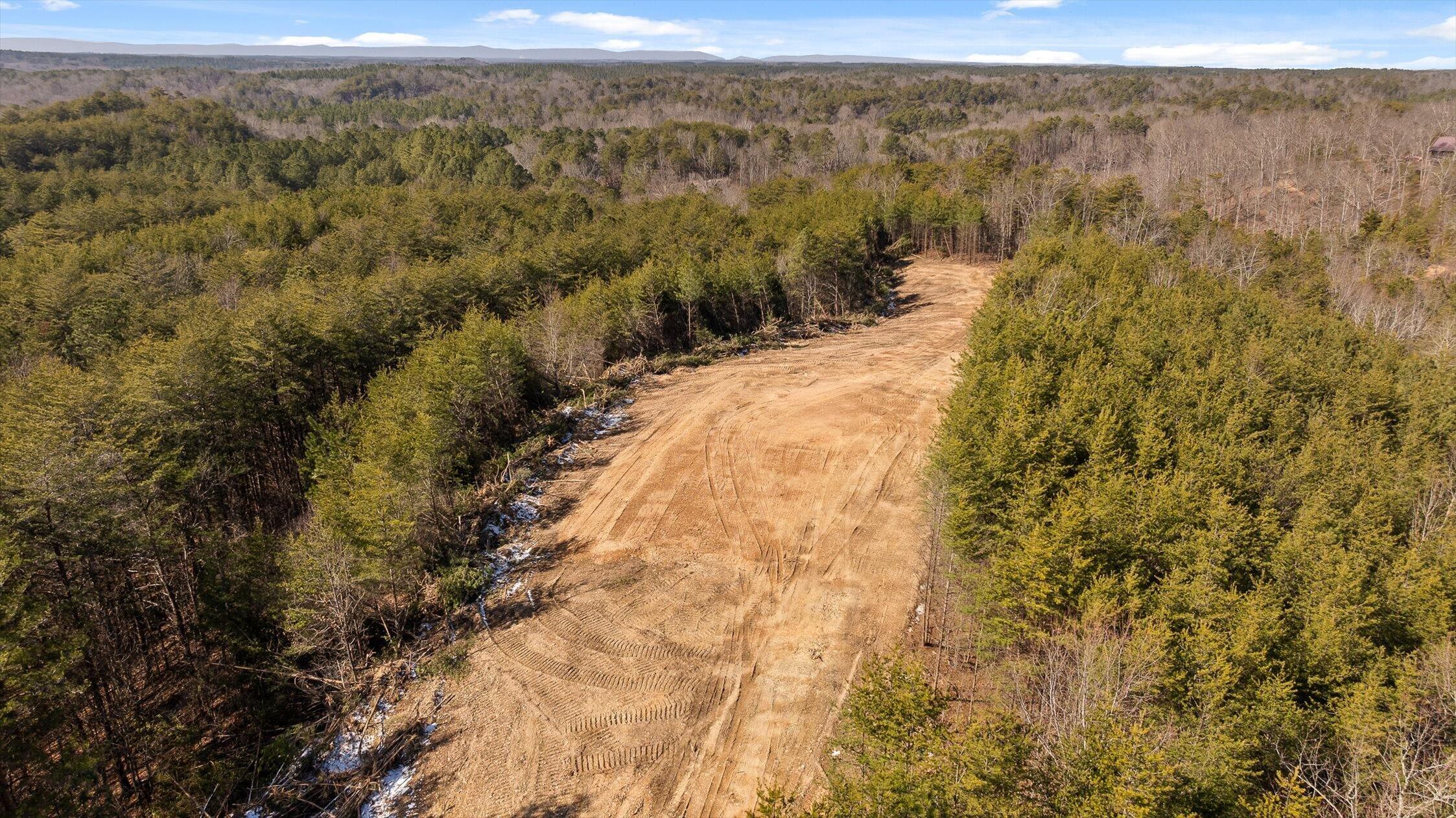 92-4 Old Sawmill Road Chatsworth, GA 30705 - Photo 15 of 30 13-Tract 4-7