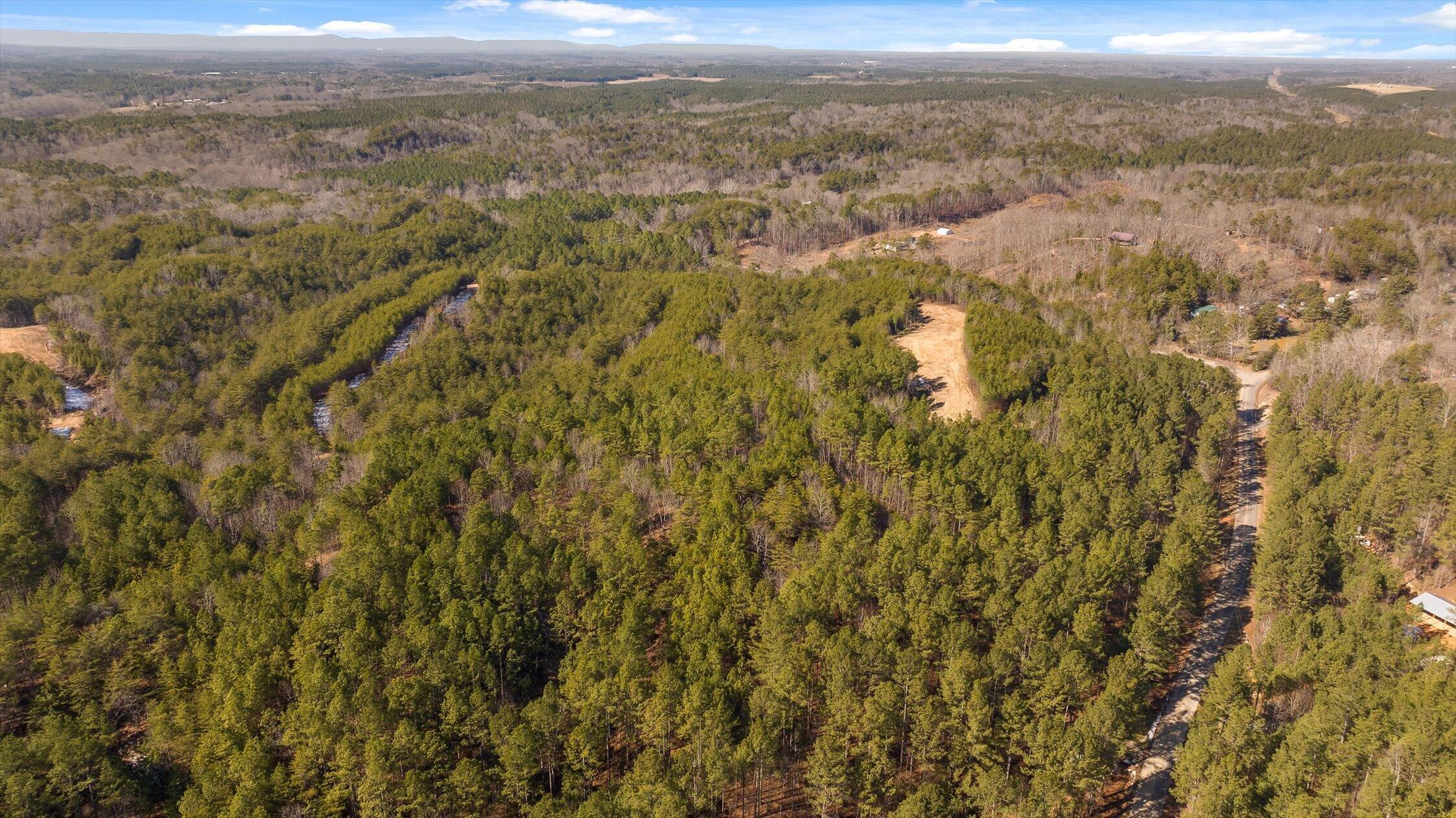 92-4 Old Sawmill Road Chatsworth, GA 30705 - Photo 19 of 30 17-Tract 4-11