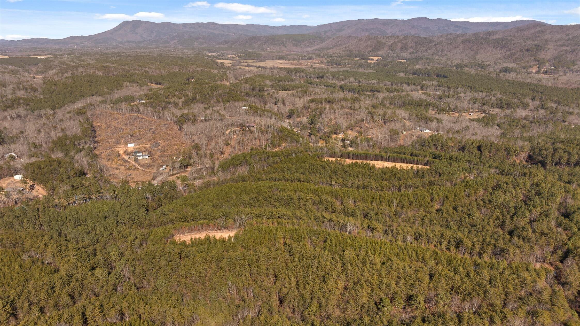 92-4 Old Sawmill Road Chatsworth, GA 30705 - Photo 22 of 30 20-Tract 4-14