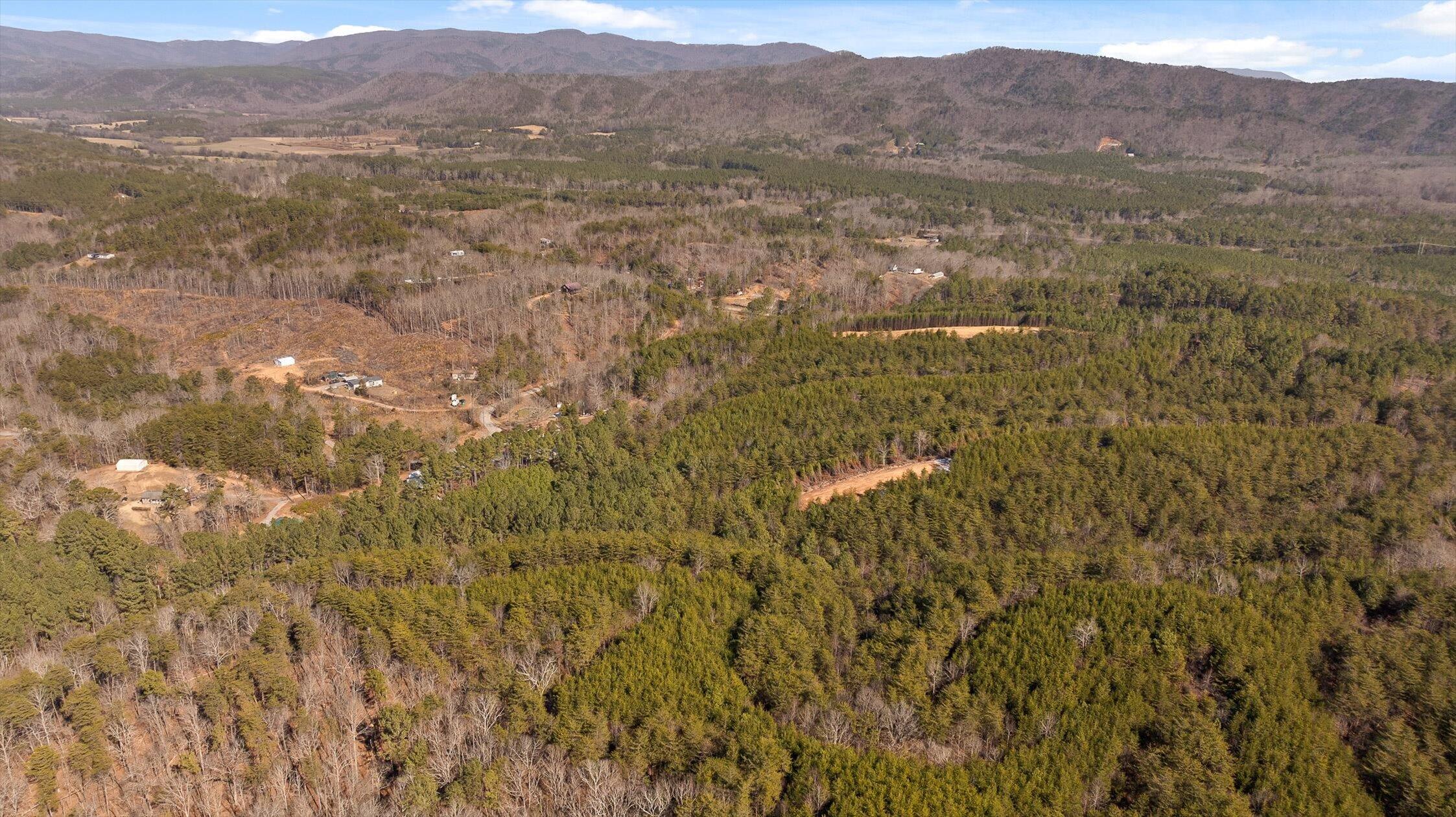 92-4 Old Sawmill Road Chatsworth, GA 30705 - Photo 23 of 30 21-Tract 4-15