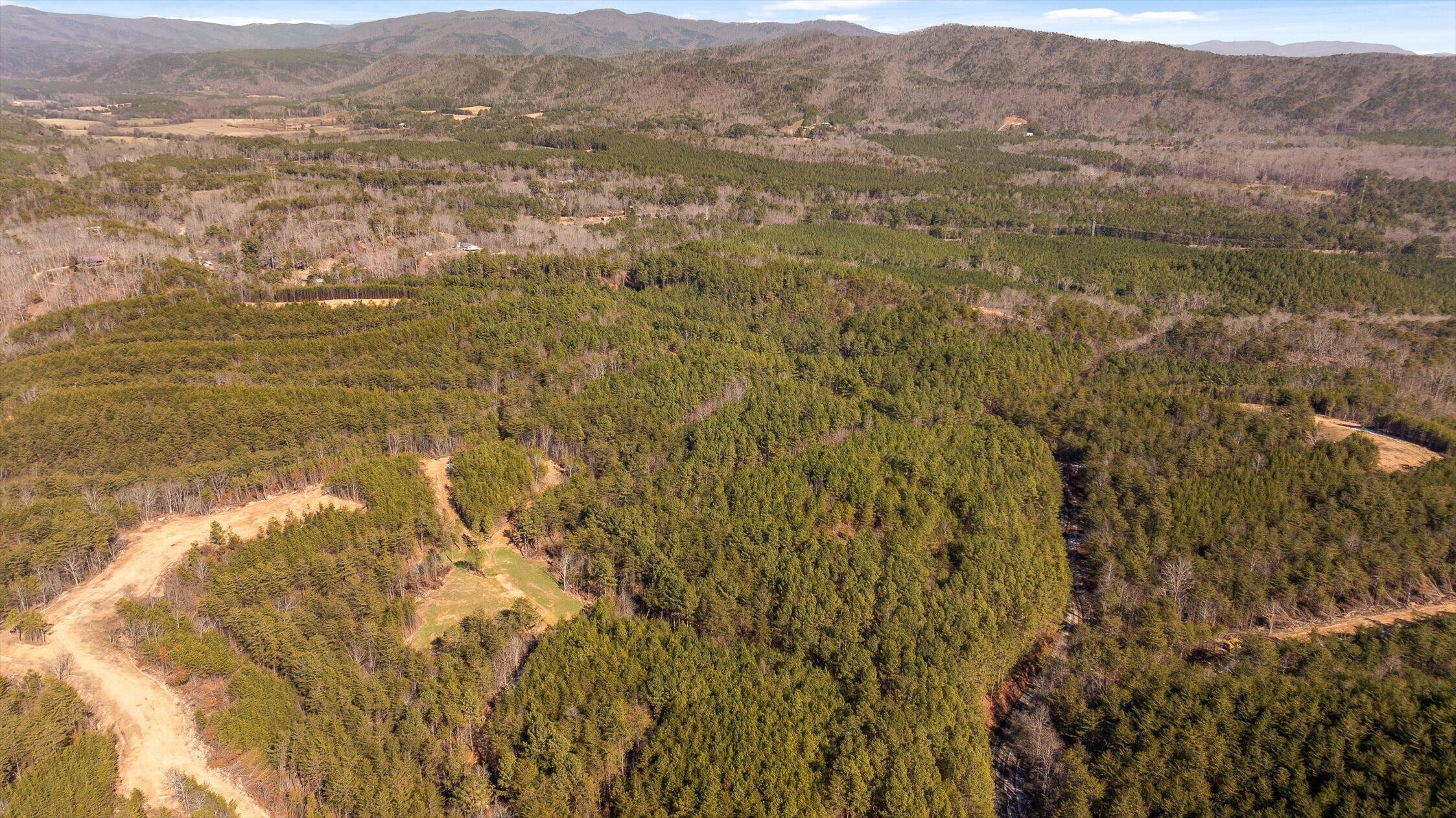 92-4 Old Sawmill Road Chatsworth, GA 30705 - Photo 9 of 30 05-Tract 3-1