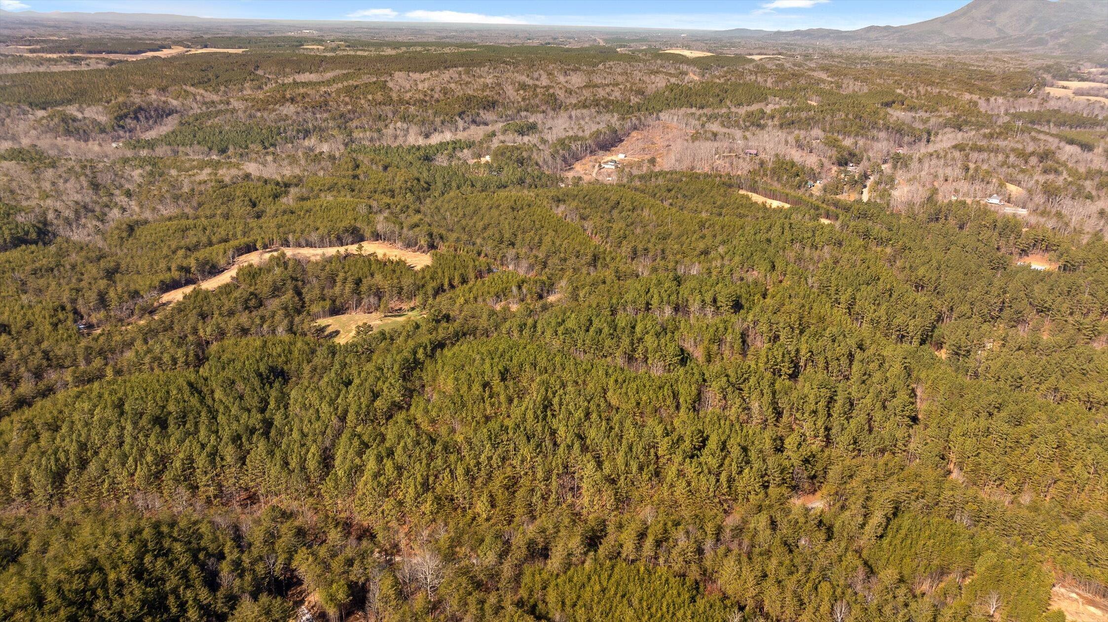 92-4 Old Sawmill Road Chatsworth, GA 30705 - Photo 10 of 30 06-Tract 3-2