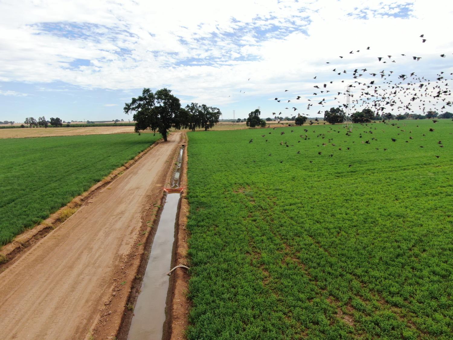 14517 East Prouty Road Galt, CA 95632 - Photo 11 of 12 a view of a city