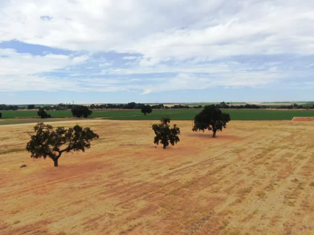 a view of a lake with houses in back
