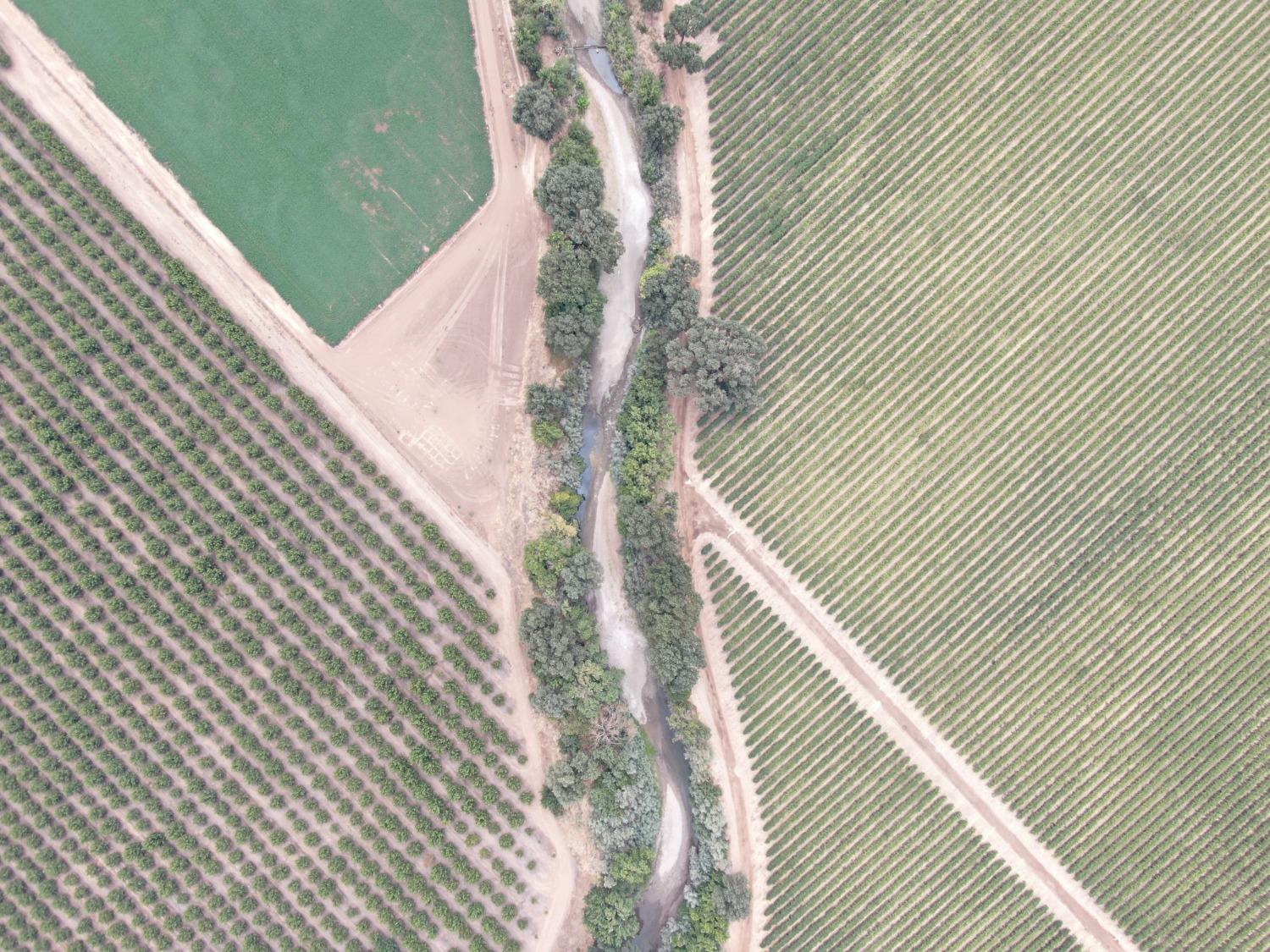 14517 East Prouty Road Galt, CA 95632 - Photo 6 of 12