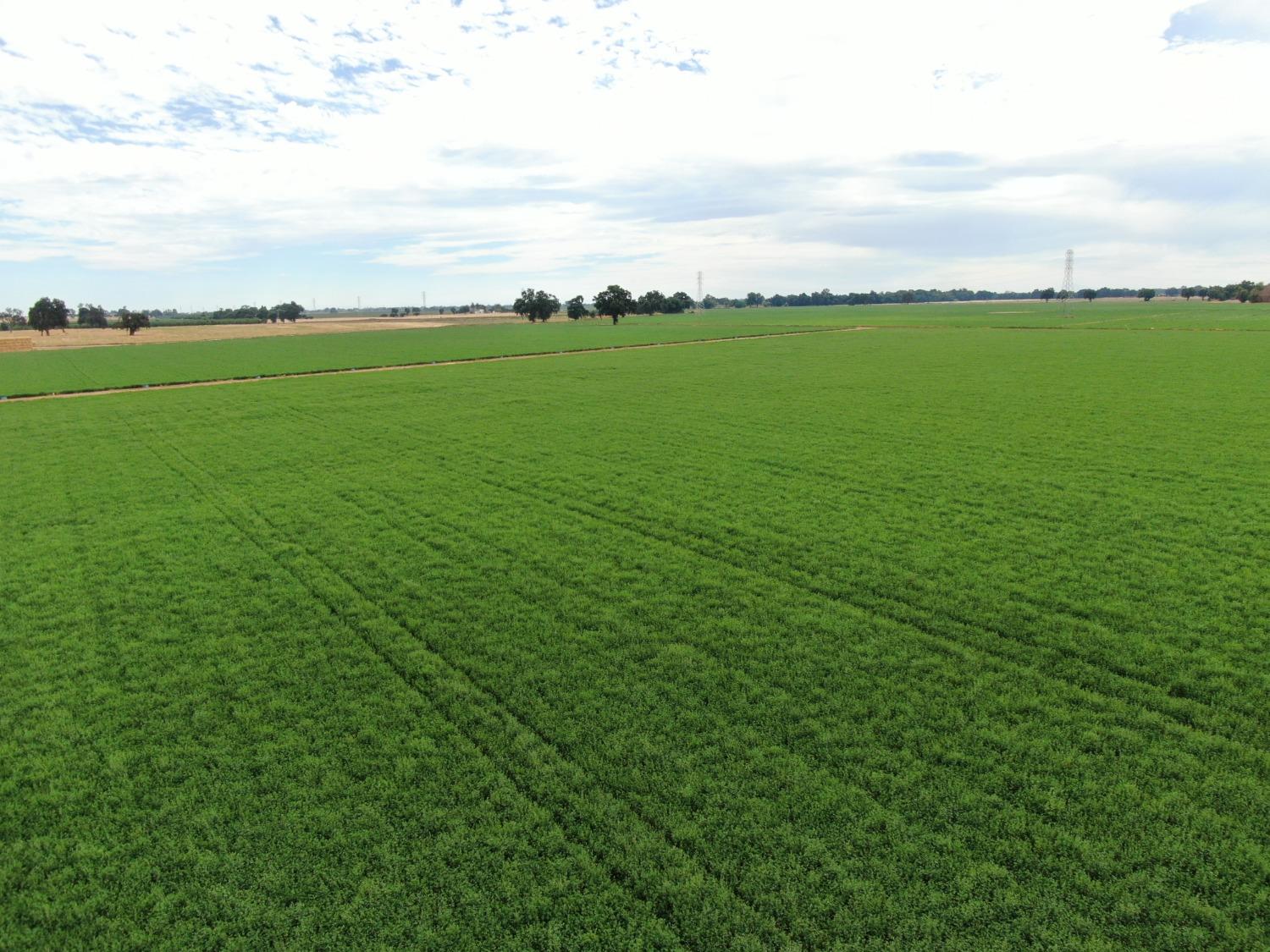 14517 East Prouty Road Galt, CA 95632 - Photo 8 of 12 a view of an ocean and beach