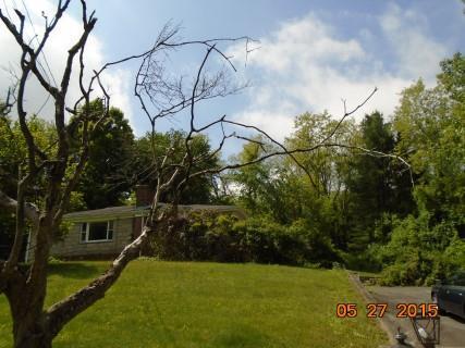 89 Castle Meadow Road Newtown, CT 06470 - Photo 1 of 1 a view of a backyard