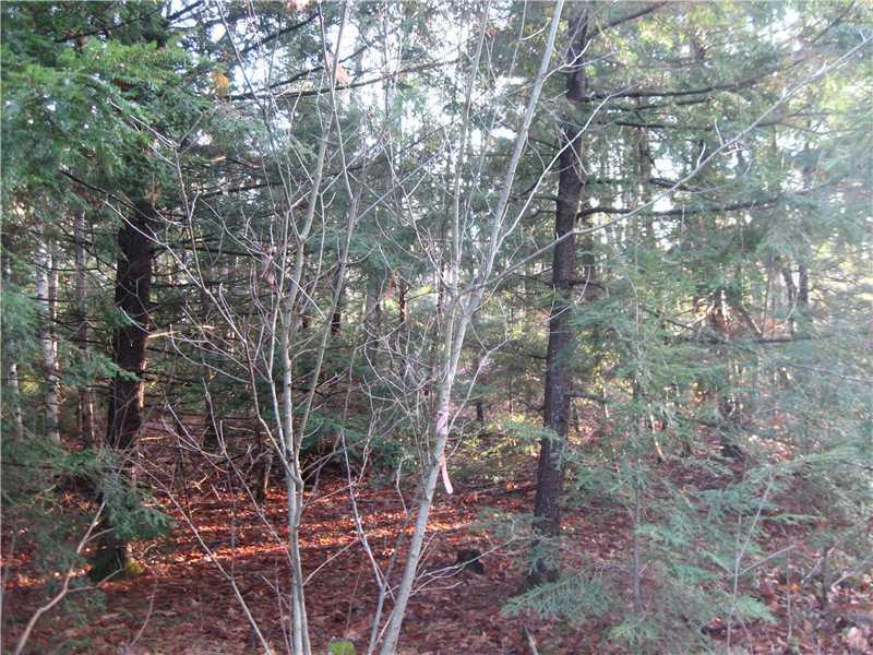 0 Old County Road Edgecomb, ME 04556 - Photo 1 of 1 Land/Lot.