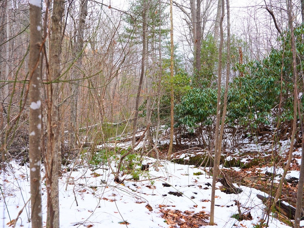 0 Dug Spur Road Callaway, VA 24067 - Photo 20 of 56 Gallery Image 20