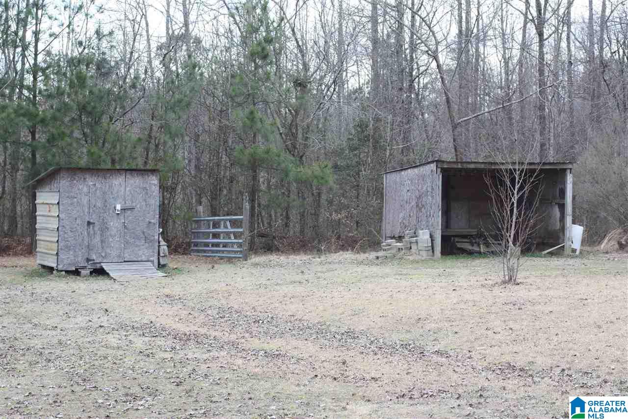6507 New Liberty Road Jacksonville, AL 36265 - Photo 4 of 10