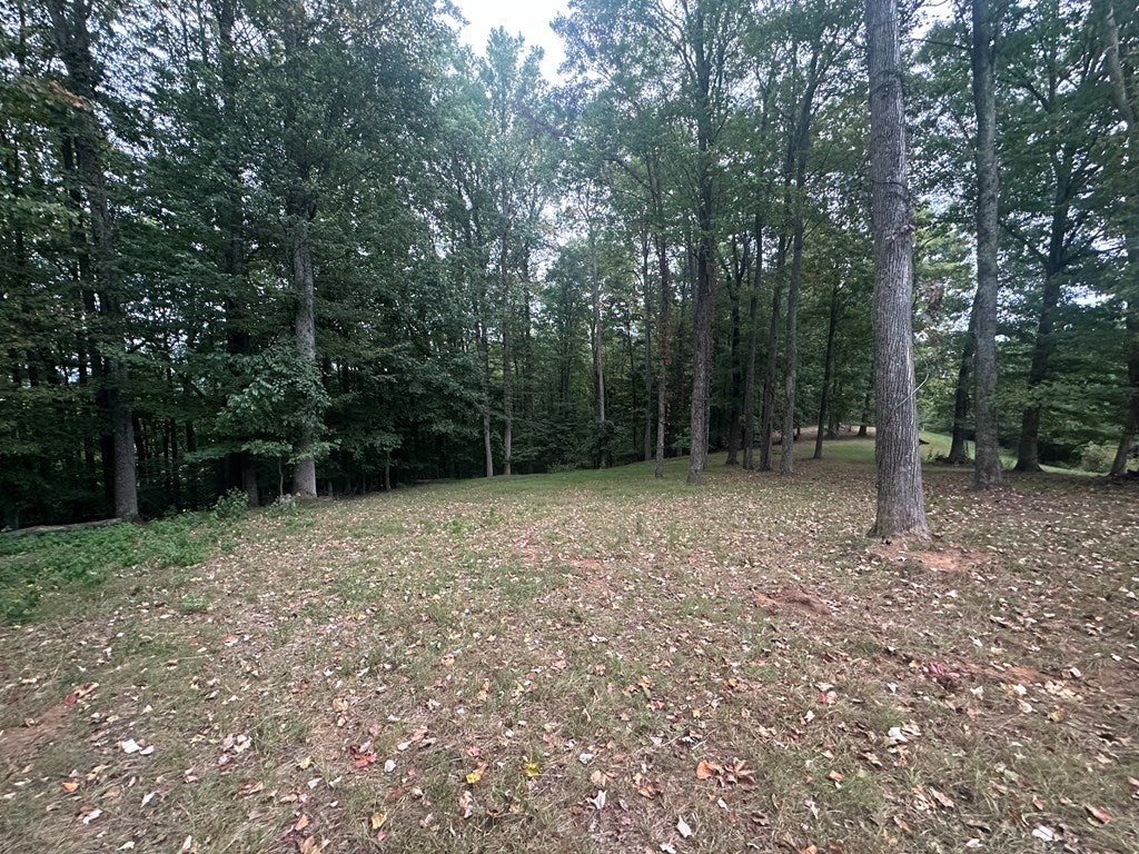 24752 Walden Road, Unit 4 Abingdon, VA 24210 - Photo 26 of 45 Gallery Image 26