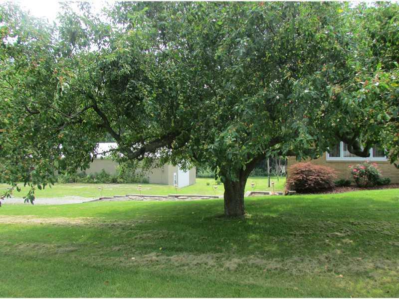 711 West Old Rte 422 Butler, PA 16001 - Photo 12 of 13 Land/Lot.