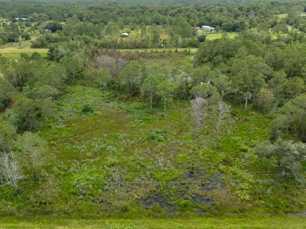 a view of a green field with lots of bushes