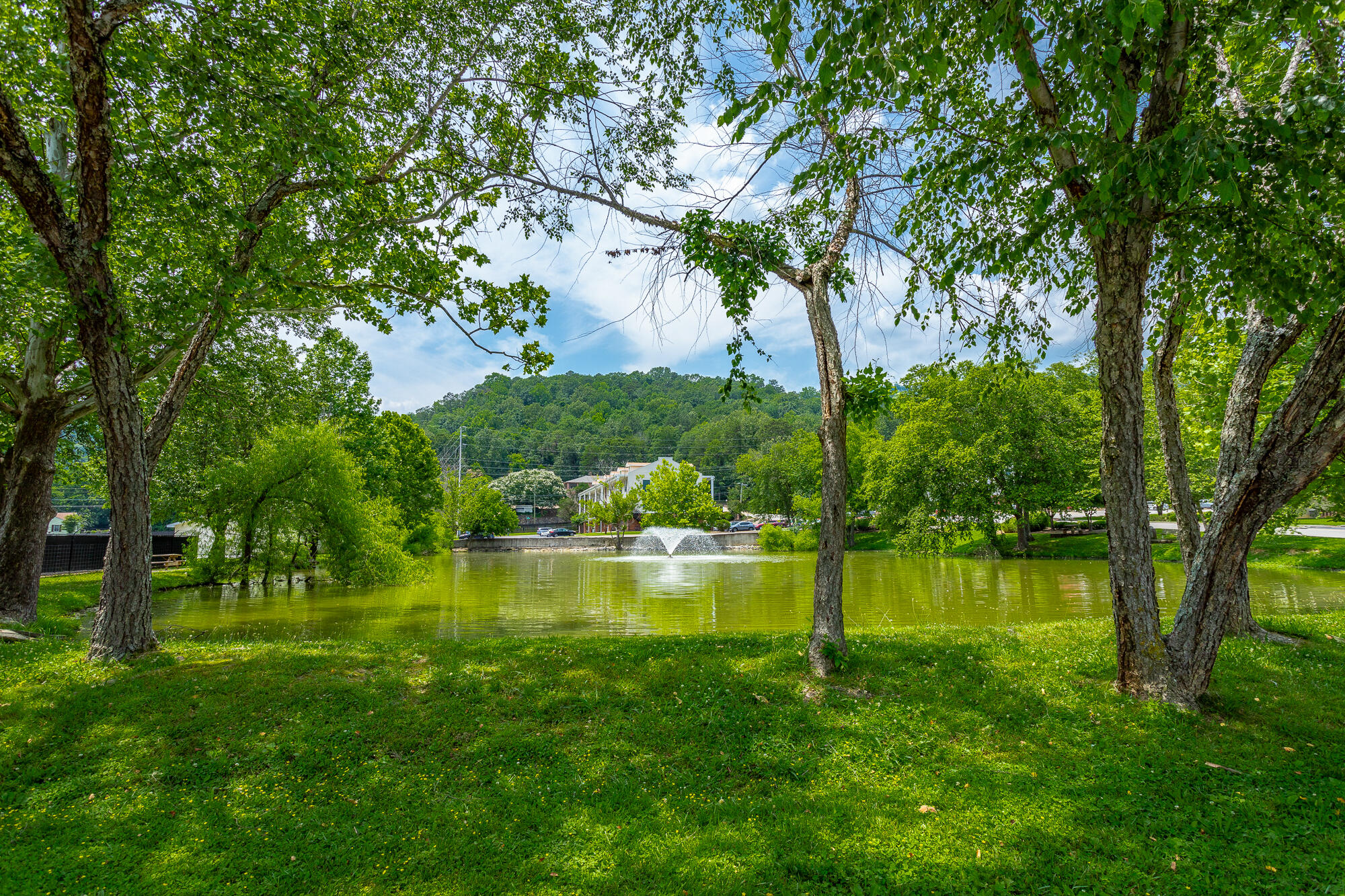 900 Mountain Creek Road, Unit Q263 Chattanooga, TN 37405 - Photo 32 of 36 900 Mountain Creek Road Unit Q263 HD-55