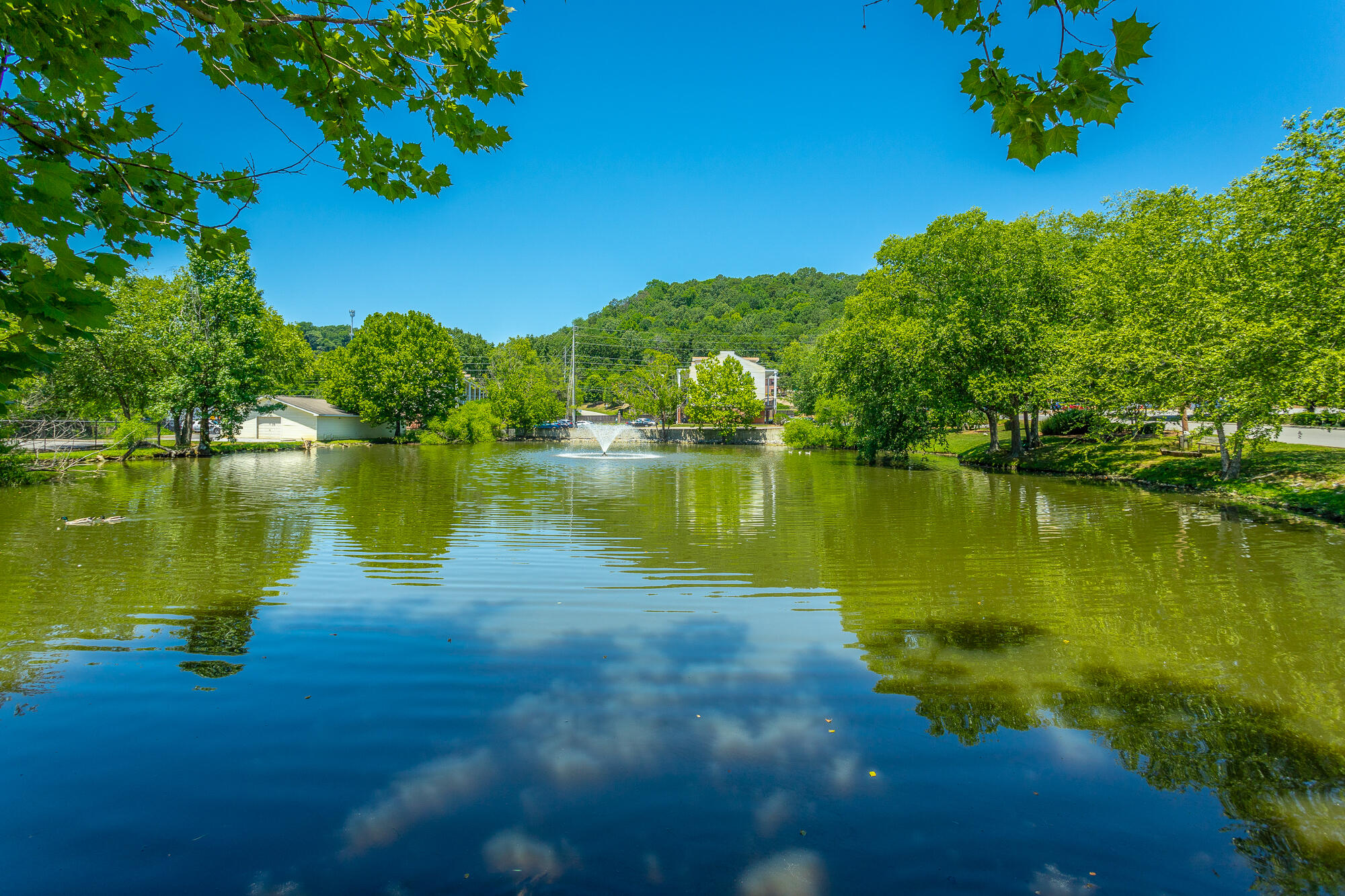 900 Mountain Creek Road, Unit Q263 Chattanooga, TN 37405 - Photo 35 of 36 900 Mountain Creek Road Unit Q263 HD-61
