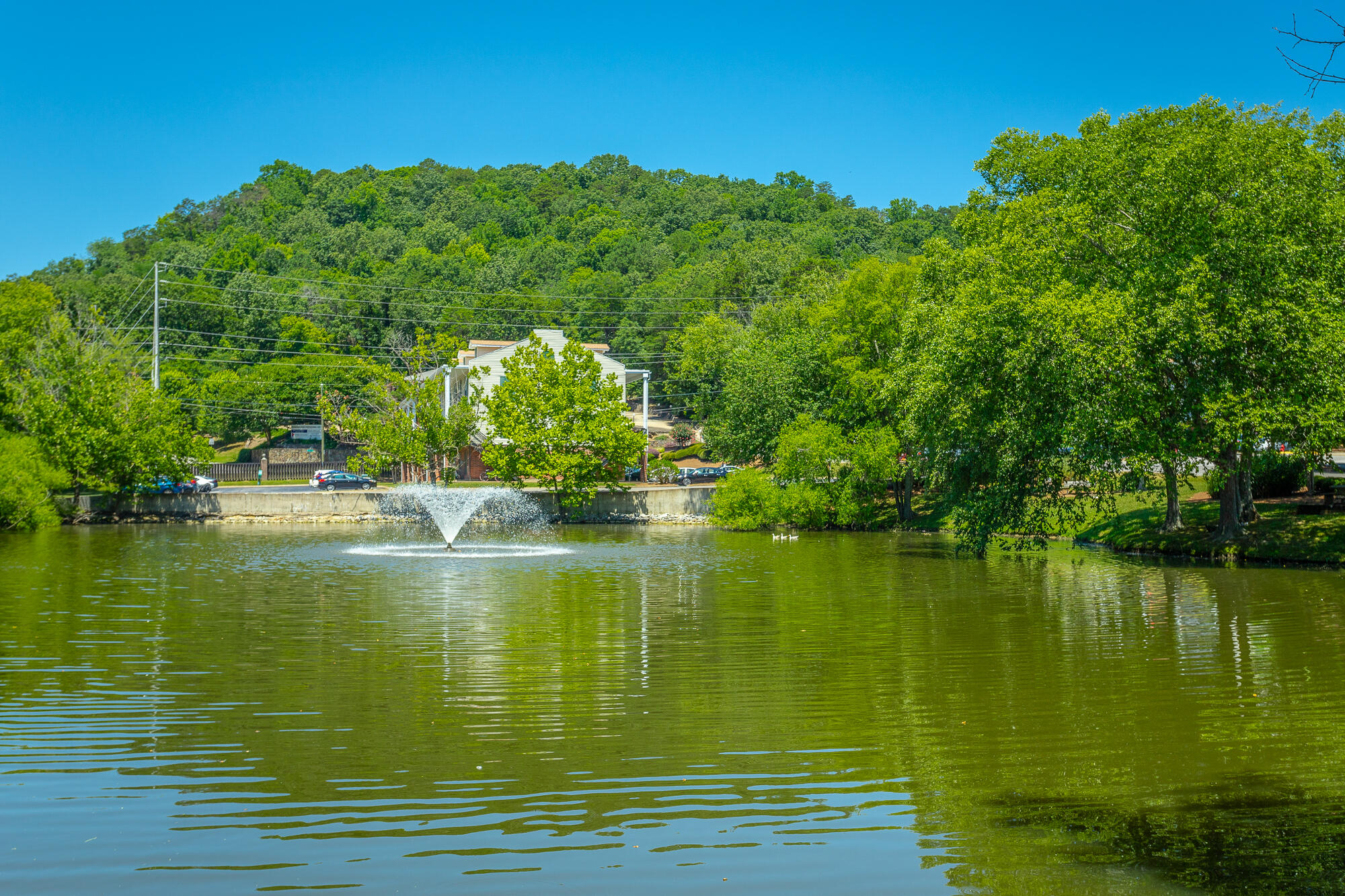 900 Mountain Creek Road, Unit Q263 Chattanooga, TN 37405 - Photo 36 of 36 900 Mountain Creek Road Unit Q263 HD-62
