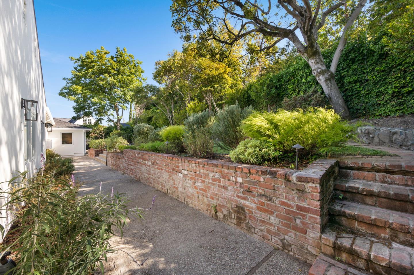 415 El Centro Road Hillsborough, CA 94010 - Photo 48 of 60 a view of a yard with plants and a trees