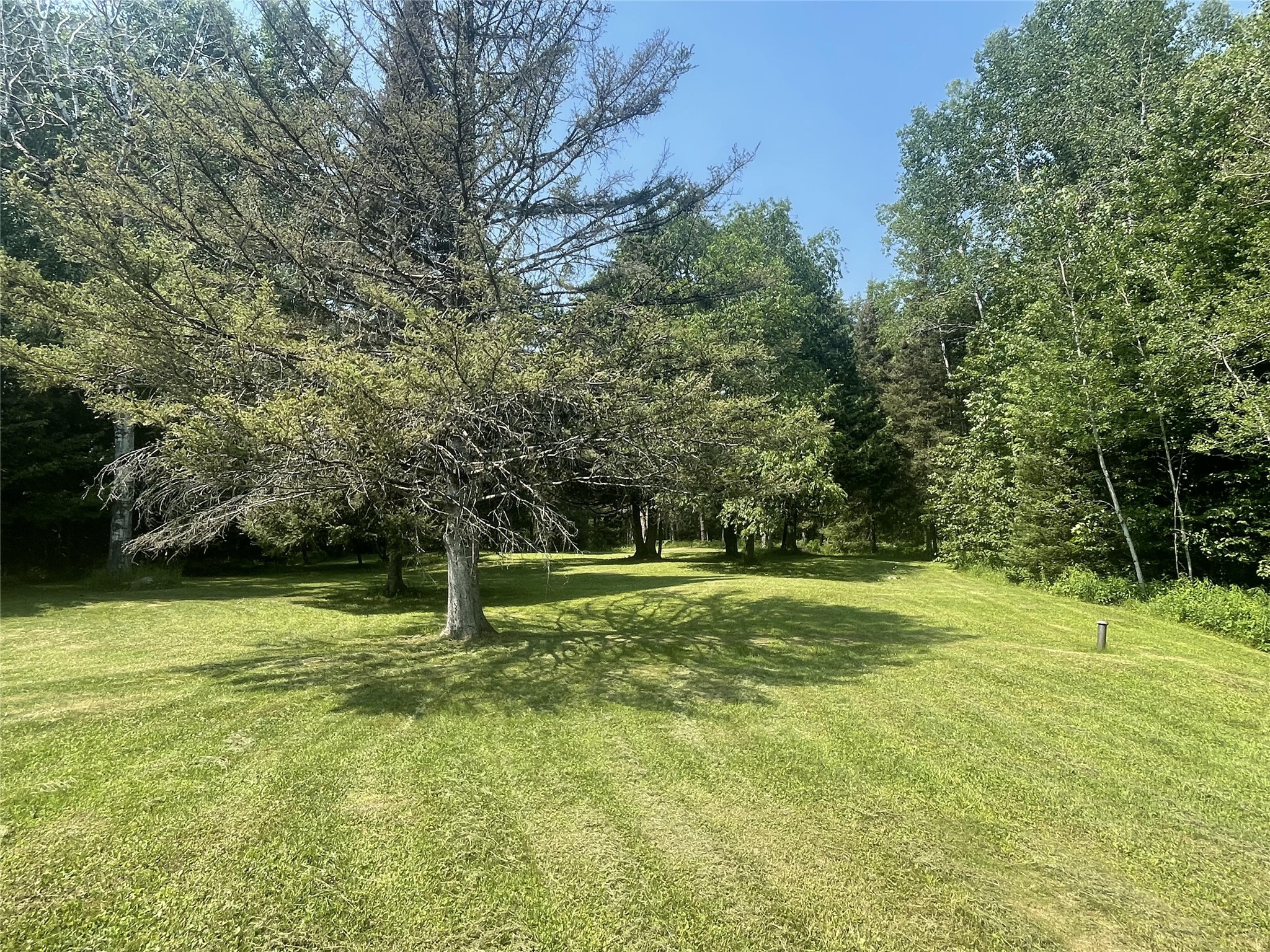 75782 Gear Road Glidden, WI 54527 - Photo 8 of 42
