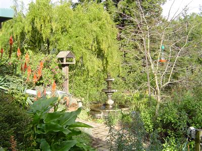 11264 Barnett Valley Road Sebastopol, CA 95472 - Photo 5 of 12 a view of a tree in a garden