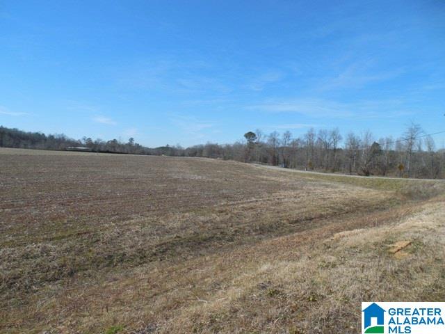 0 Curry Station Road, Unit 1 Munford, AL 36268 - Photo 8 of 14