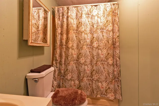 a white toilet sitting next to a shower curtain