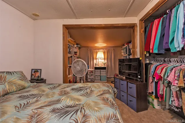 a view of a bedroom with a bed and closet