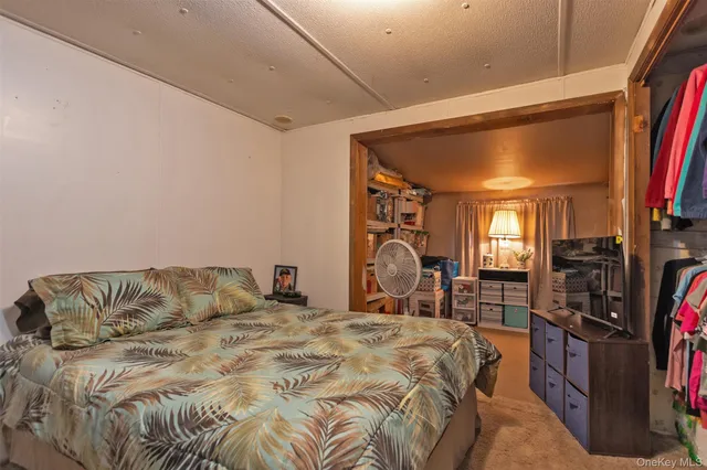a bedroom with a bed closet and a flat tv screen