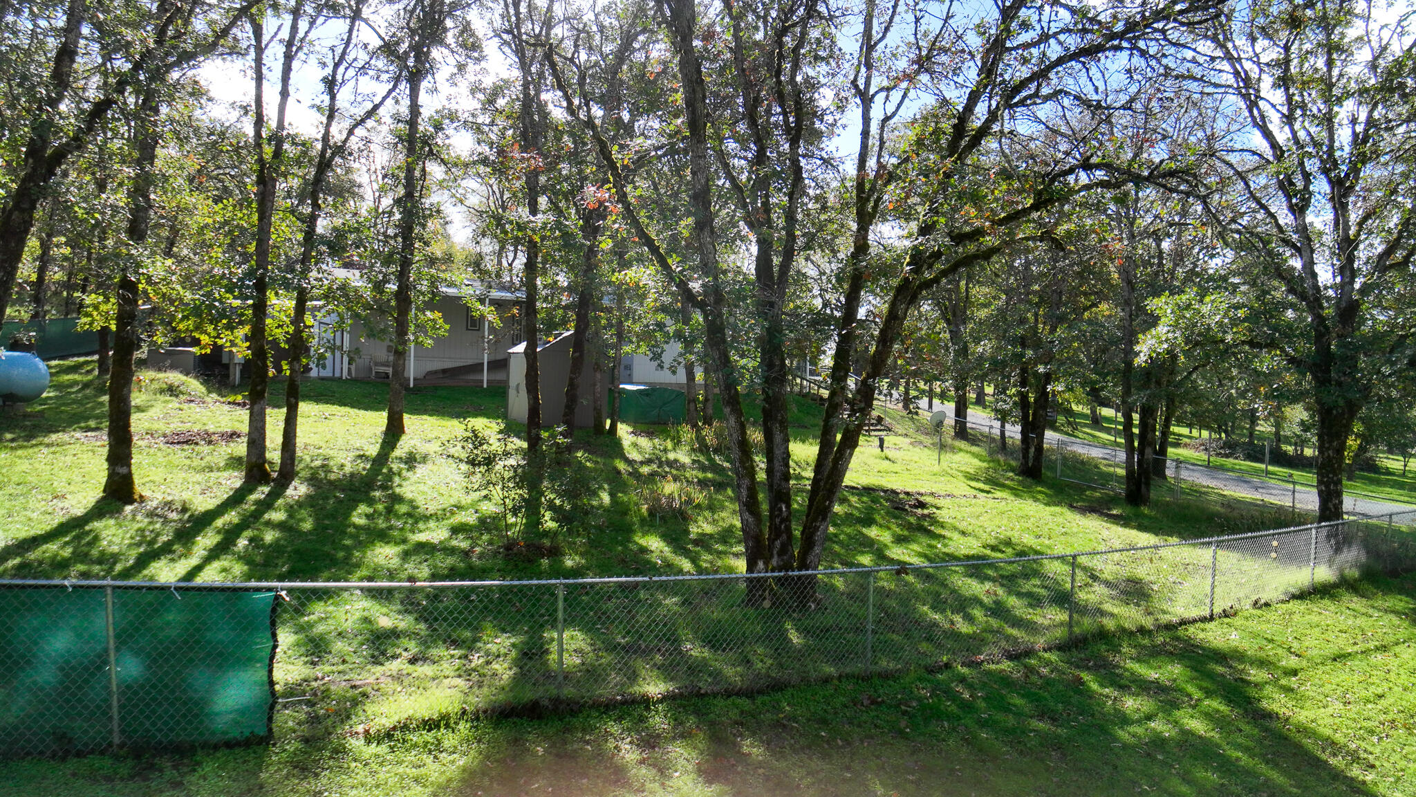 650 Three Pines Road Grants Pass, OR 97526 - Photo 7 of 48 a view of a yard with a tree