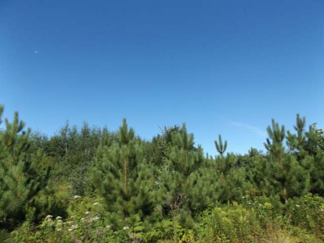 10-ac Star Lake Road Crandon, WI 54520 - Photo 18 of 19 Gallery Image 18