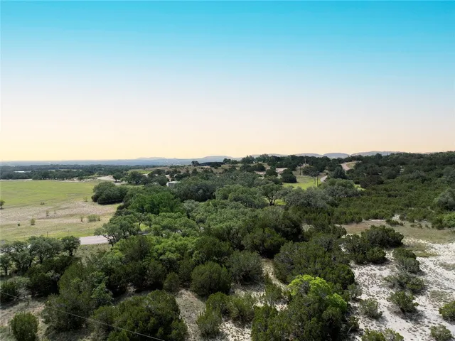 an aerial view of ocean and trees