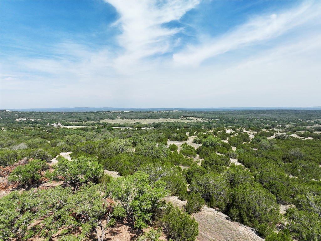 0 HighWay 290 Johnson City, TX 78636 - Photo 24 of 28 Drone / aerial view of a heavily wooded area